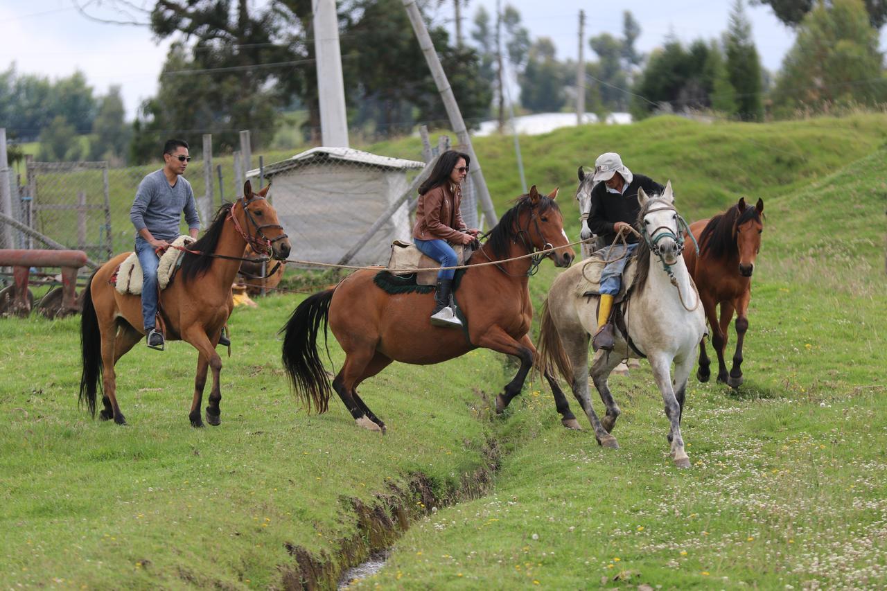 Hosteria Loma Larga Cayambe Dış mekan fotoğraf