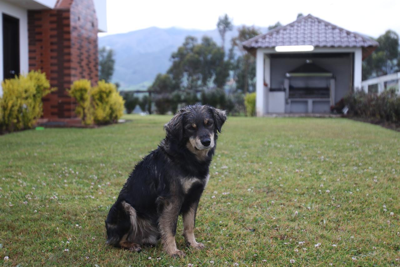 Hosteria Loma Larga Cayambe Dış mekan fotoğraf